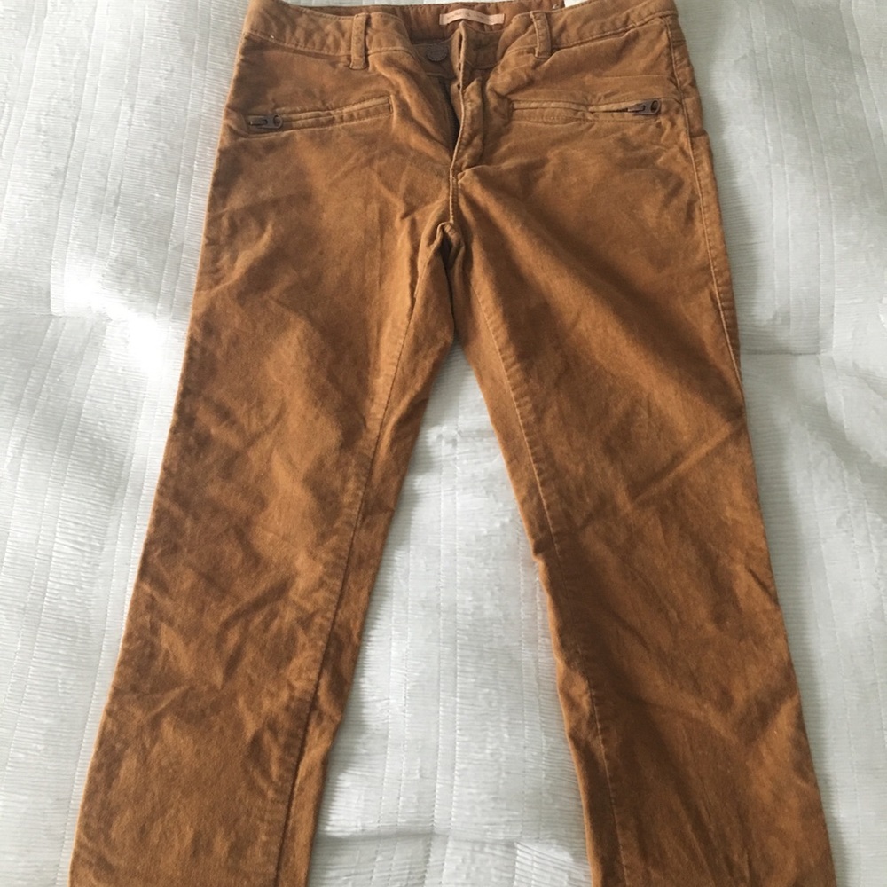 Girl pants